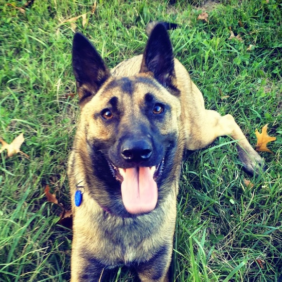 Meet your Posher, Lisa - Picture 1 of 1